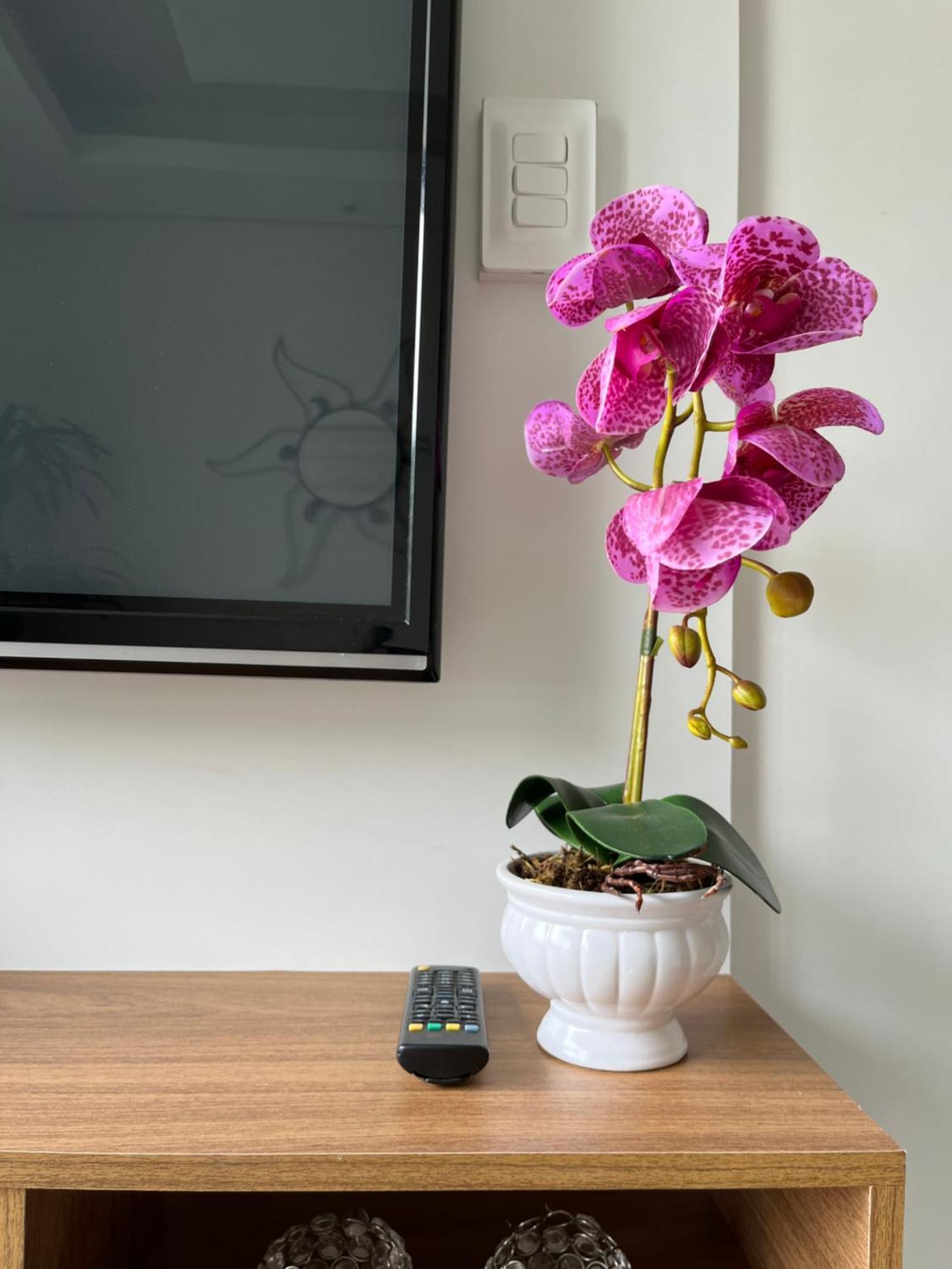 Apartamento Praia Guarujá Eksteriør billede